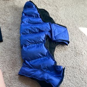 Blue Hotel Doggy Puffer